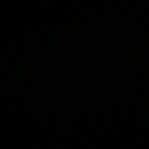 Meet your Posher, Arielle